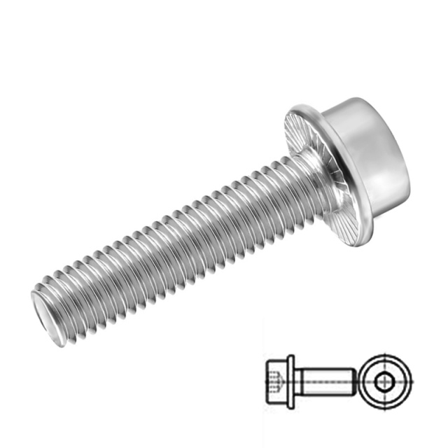 DIN 251 Socket Flange Bolt M6x14 304 Stainless Steel